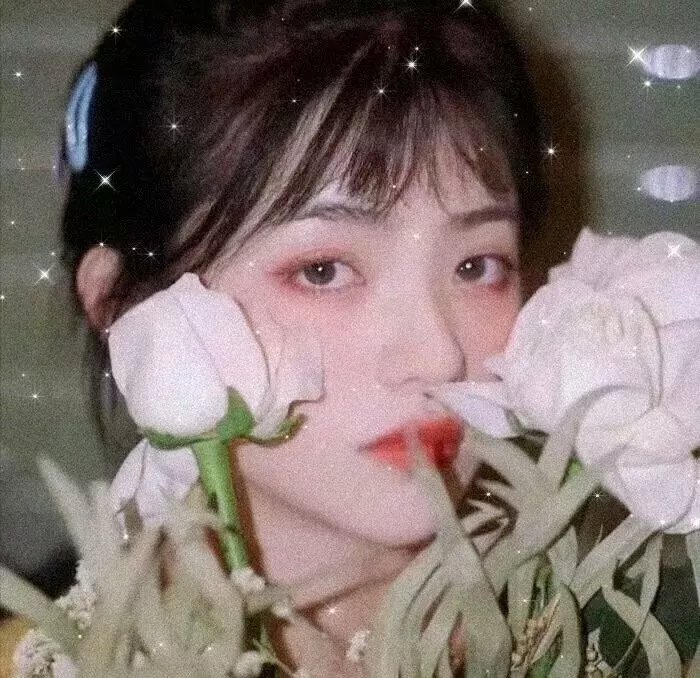 隔膜夫妻